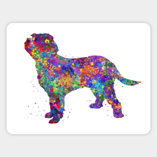 Italian Spinone dog watercolor Magnet